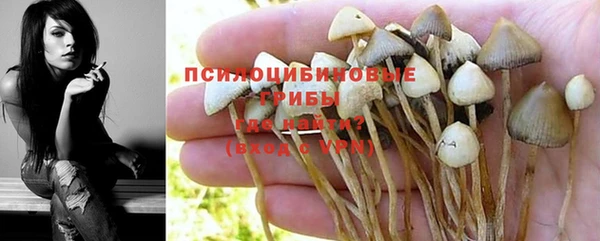 спиды Аркадак