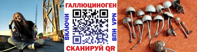 что такое наркотик  Темников  Галлюциногенные грибы прущие грибы 