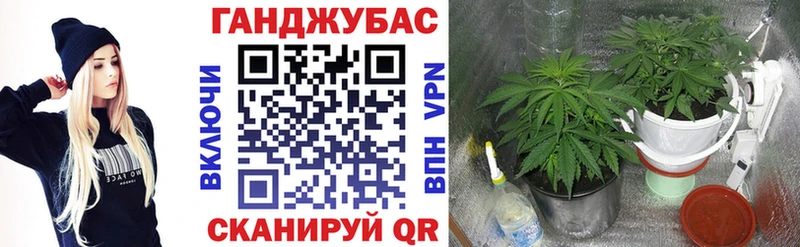 Бошки марихуана Bruce Banner  Темников 